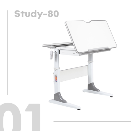 1. Anatomica Study-80